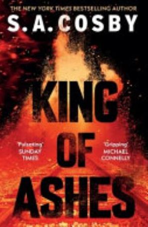 Book cover of King of Ashes