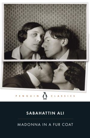 Book cover of Madonna in a Fur Coat