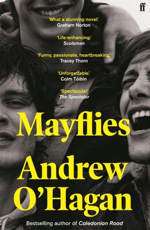 Book cover of Mayflies