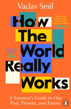 Book cover of How the World Really Works
