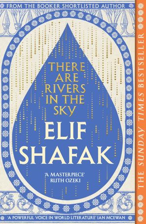 Book cover of There are Rivers in the Sky