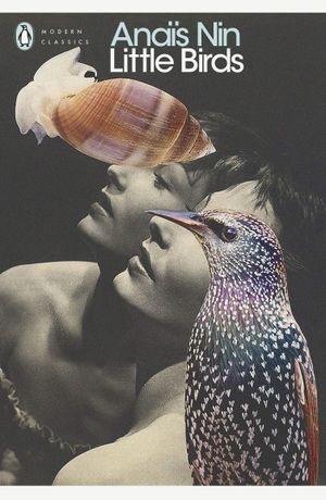 Book cover of Little Birds