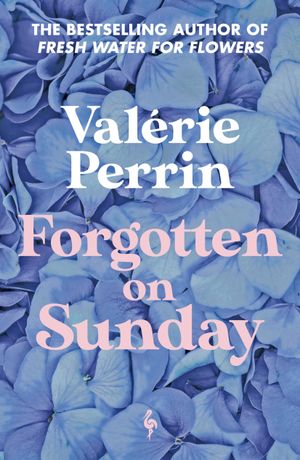 Book cover of Forgotten on Sunday