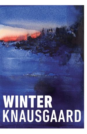Book cover of Winter