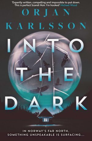 Book cover of Into the Dark