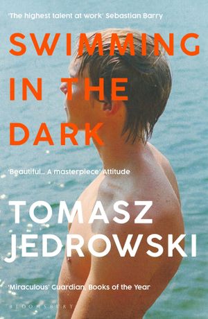 Book cover of Swimming in the Dark