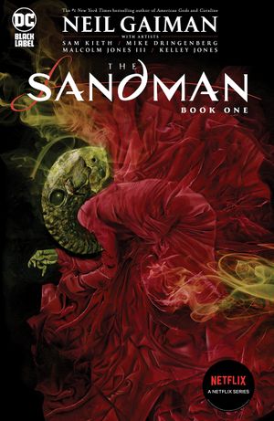 Book cover of The Sandman: Book One