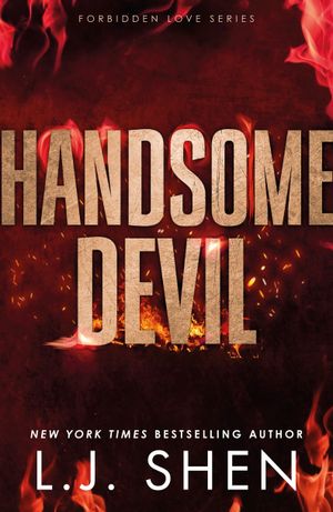 Book cover of Handsome Devil