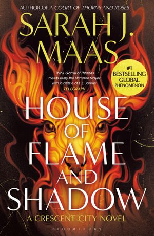 Book cover of House of Flame and Shadow