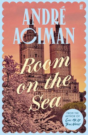 Book cover of Room on the Sea