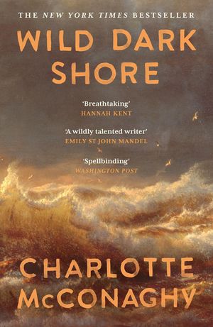 Book cover of Wild Dark Shore