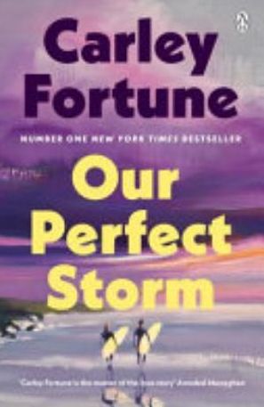 Book cover of Our Perfect Storm