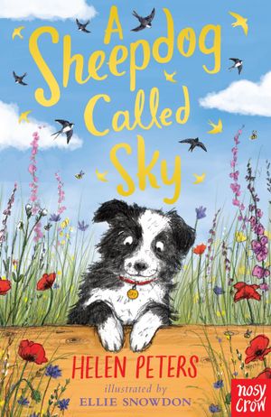 Book cover of A Sheepdog Called Sky
