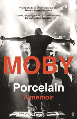 Book cover of Porcelain