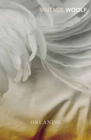 Book cover of Orlando