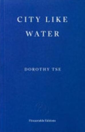 Book cover of City Like Water