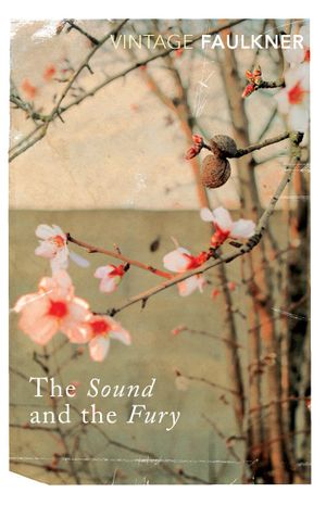 Book cover of The Sound and the Fury