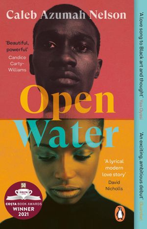 Book cover of Open Water