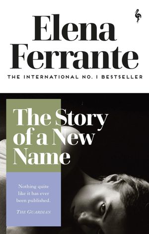 Book cover of The Story of a New Name