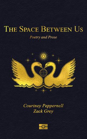 Book cover of The Space Between Us