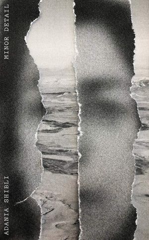 Book cover of Minor Detail