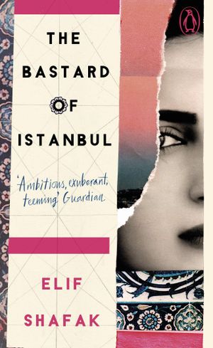 Book cover of The Bastard of Istanbul