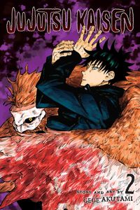 Book cover of Jujutsu Kaisen, Vol. 2