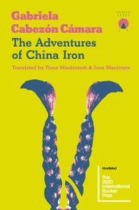 Book cover of The Adventures of China Iron