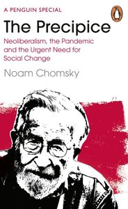 Book cover of The Precipice: Neoliberalism, the Pandemic and the Urgent Need for Radical Change