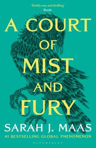 Book cover of A Court of Mist and Fury