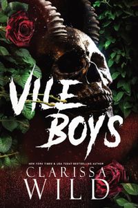 Book cover of Vile Boys
