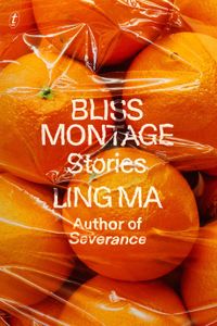 Book cover of Bliss Montage