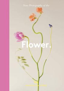 Book cover of New Photography of the Flower.