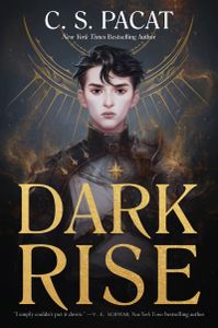 Book cover of Dark Rise