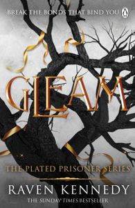 Book cover of Gleam